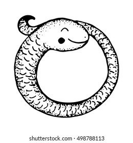 Coiled snake cartoon. Hand drawn doodle vector illustration.