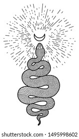 Coiled snake and crescent moon detailed illustration. Tribal serpent in black isolated over white background. Vector tattoo design.