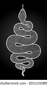 Coiled snake detailed illustration. Tribal serpent in white isolated over black background. Vector tattoo design.