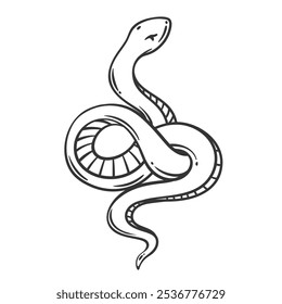 Ícone de linha de cobra enrolado. Contorno desenhado à mão serpente animal com corpo em espiral enrolada em anel, vintage esboço de réptil perigoso. Mascote da vida selvagem da natureza, ícone simples da serpente ilustração do vetor