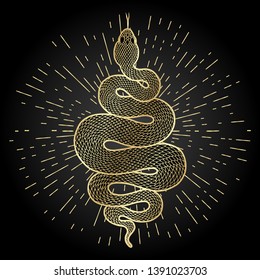 Coiled snake with rays of light detailed illustration. Tribal golden serpent isolated over black background. Vector tattoo design.