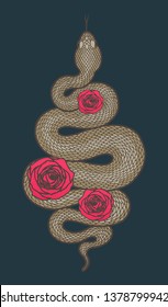Coiled snake and roses detailed illustration. Tribal brown serpent isolated over dark blue background. Vector design.