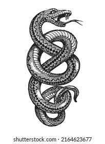 Coiled Snake Sketch. Hand Drawn Vintage Vector Illustration For Posters, Tattoo, Clothes