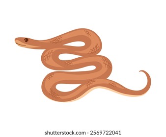 Coiled snake with smooth curves and simple patterns. Simple cartoon animal design. Good for reptile or nature illustrations. Vector illustration isolated on white background