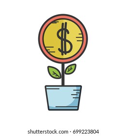 coin plant with leaves and flowerpot