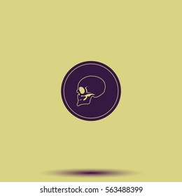 Coin with a skull. Symbol of pirates, danger, death, Halloween. Flat illustration.