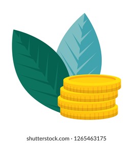 coins cash money with leafs plant