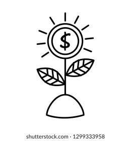 coins cash money with leafs plant