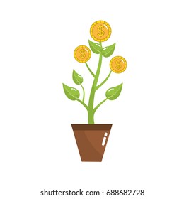 coins plant and cash money currency