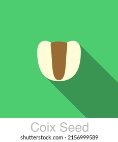 Coix Seed Food Flat Icon  Vector Illustration