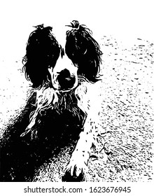 
Coker dog vector, high relief, faithful pet, black and white drawing design.