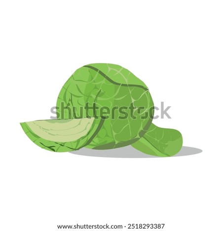 col rizada which translates as cabbage kale and Brassica clipart isolated on white background