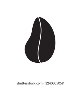 colanut icon vector glyph style. nut and bean icon