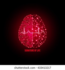 Cold analysis and bursting creativity paired together in cardiology clinic and hearth care concept.. Analytical brain. Creative brain. Creative thinking. Heart care. Cardiology concept.