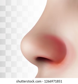 cold, flu, allergies, sick nose vector template for treating symptoms