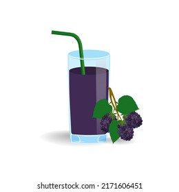 A cold glass of blackberry juice with a green straw. The summer blackberry.