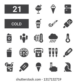 cold icon set. Collection of 21 filled cold icons included Penguin, Wash, Ice cream, Popsicle, Drink, Thermometer, Beer tap, Freezer, Rain, Energy drink, Blower, Fridge