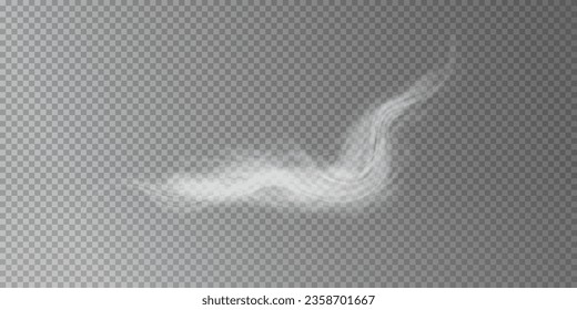 Cold winter wind texture. Holiday vector blizzard. Christmas effect of a cold blizzard. Vector PNG.