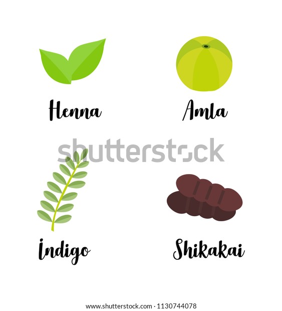 Colection Indian Asian Herbs Known Their Stock Vector Royalty