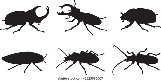 Coleoptera insect silhouettes. Stag beetle and scarab vector shapes. Nature and entomology graphic resource set.