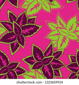  	
 Coleus. Vector seamless pattern with brightly colored foliage. Hand drawn illustration of a houseplant.