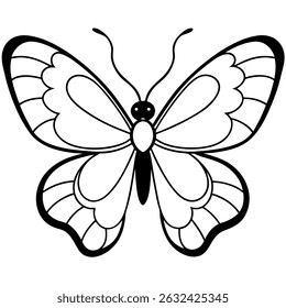 colias electo line art vector