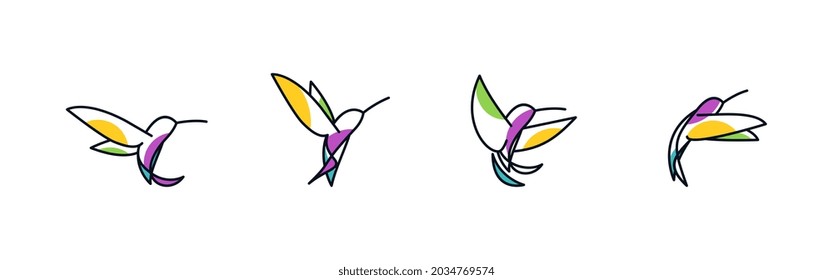 Colibri bird 4 combinations with color. line abstract