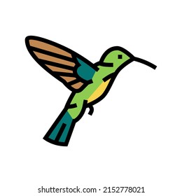 colibri bird color icon vector. colibri bird sign. isolated symbol illustration