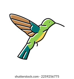 colibri bird color icon vector. colibri bird sign. isolated symbol illustration
