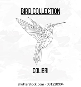 Silueta de líneas geométricas de aves Colibri aislada en la ilustración de elemento de diseño vectorial de fondo blanco