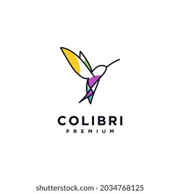 Colibri bird logo concept design, abstract hummingbird vector illustration