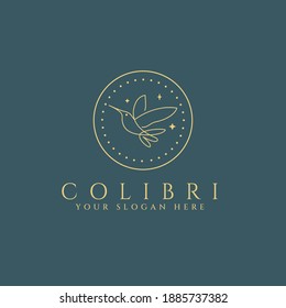 Colibri Bird Logo Design Template