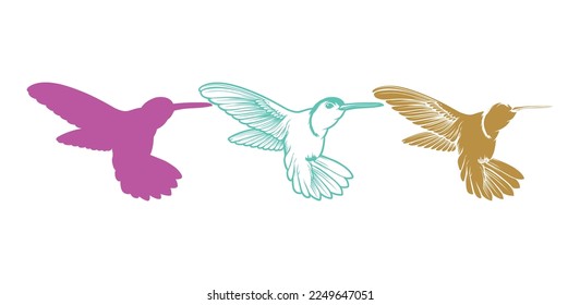 Colibri Bird Vector Logo Mascot Symbol Template. Colibri Mascot Illustration