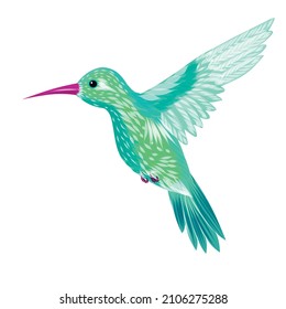 Colibri bird vector painting art