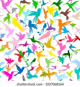 Colibri collection, sketch for your design
