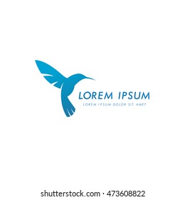Colibri corporate logo. Bird icon design