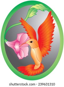 Colibri and flower