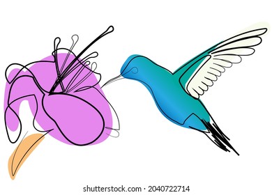 Colibri y flor en un estilo de arte en línea. Colibrí aislado y flor sobre fondo blanco. Ilustración de dibujo de línea continua