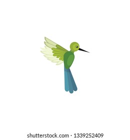 Colibri flying bird, hummingbird cartoon vector on a white background