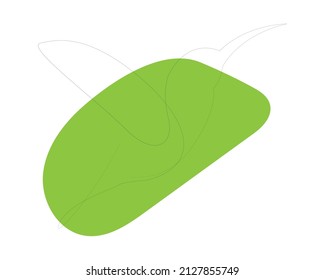 Colibri hand drawn logo icon line art