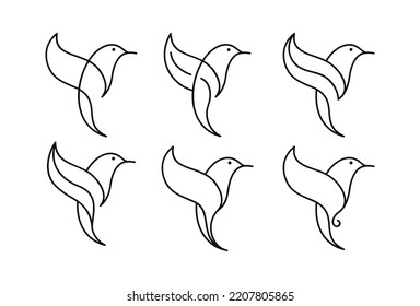 colibri hummingbird bird logo icon line abstract outline monoline vector illustration