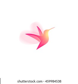 Colibri hummingbird color transparent logo. Spa and resort emblem.