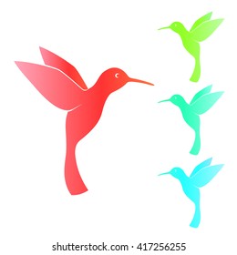 Colibri, hummingbird, isolated on white, vector illustration