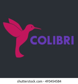 Colibri, hummingbird on dark, vector illustration