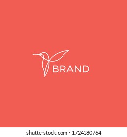 Colibri (Hummingbirds) with clean line style for premium logo vector