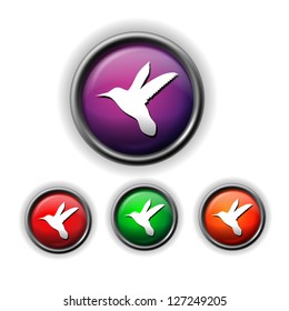 colibri icon