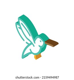 colibri little bird isometric icon vector. colibri little bird sign. isolated symbol illustration