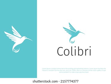 colibri logo design. logo template