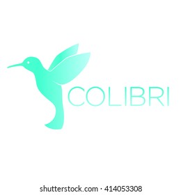 Colibri logo element, hummingbird, isolated on white, vector illustration
