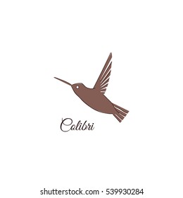 Colibri logo. Hummingbird logo design template. Vector illustration for your company.